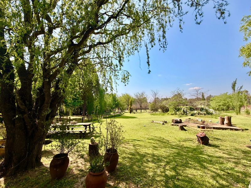 A spacious, well-maintained garden area featuring mature trees, expansive lawn, and established landscaping on a small holding property.