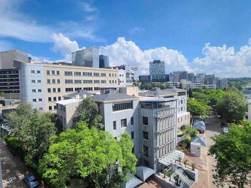 Elevated urban view overlooking surrounding commercial and residential buildings with mature trees and clear sky.