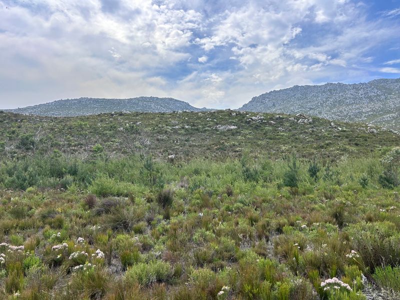 A scenic view of the natural mountain landscape and indigenous vegetation surrounding the property.