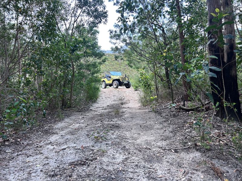 A natural dirt path winding through mature trees on the small holding property, leading toward an open area.