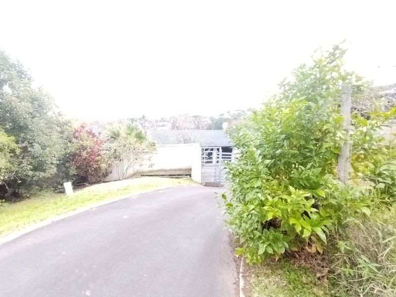 A view of the property entrance featuring an asphalt driveway leading to a gated access point with surrounding boundary walls and established garden greenery.