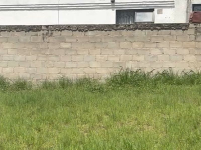 A view of a vacant residential plot featuring a grass lawn and a concrete block boundary wall.