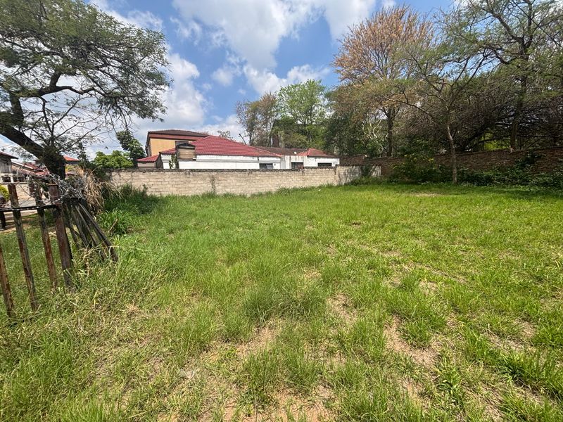 A vacant residential plot featuring established trees and a perimeter boundary wall, offering a blank canvas for future development.