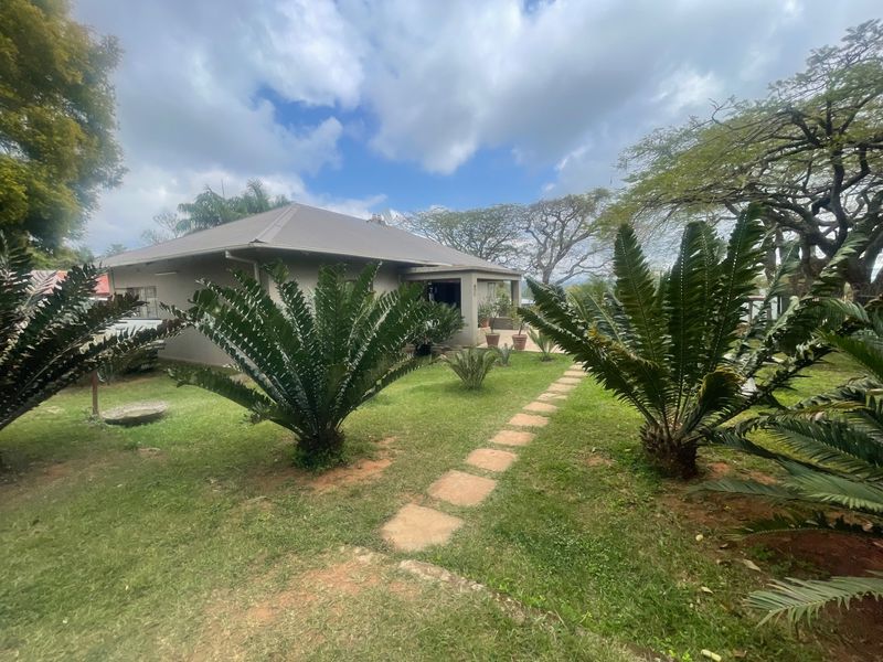 A view of the rear exterior of the house featuring a landscaped garden with a paved walkway leading to the building.