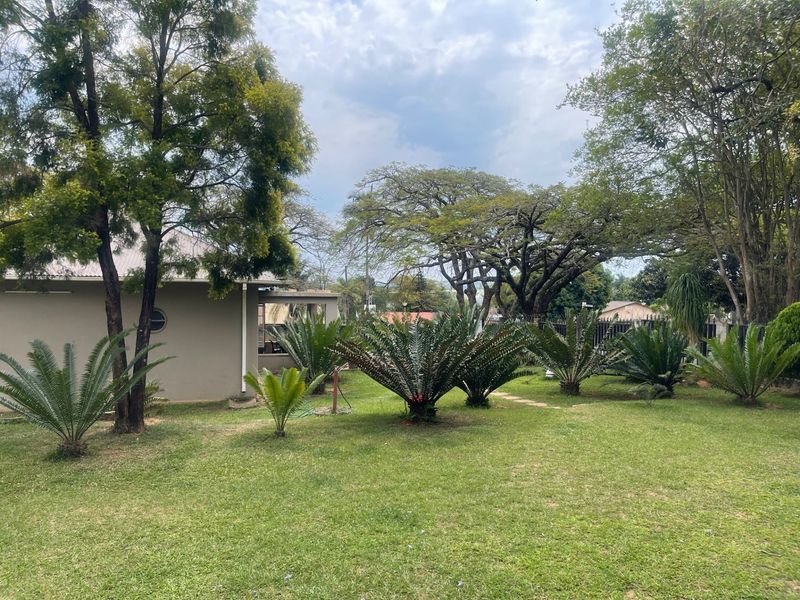 A well-maintained garden area featuring established lawn, mature trees, and various cycad plants, providing a private and green outdoor space.