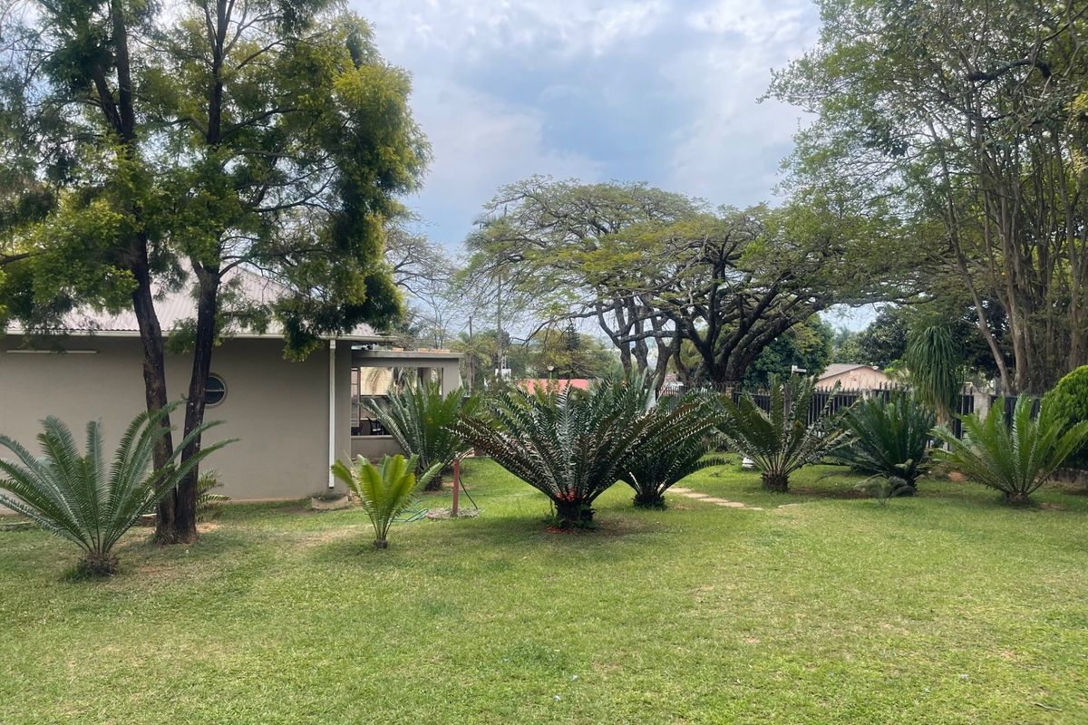 A well-maintained garden area featuring established lawn, mature trees, and various cycad plants, providing a private and green outdoor space.