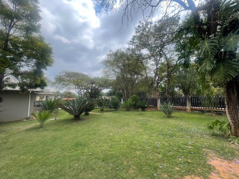 A spacious, well-maintained garden featuring mature trees, established cycads, and perimeter fencing, providing a private and tranquil outdoor setting.