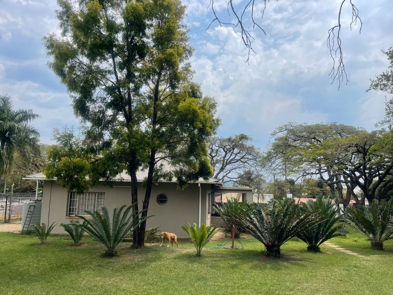 Rear view of the house featuring a landscaped garden, mature trees, a water tank, and security bars on the windows.