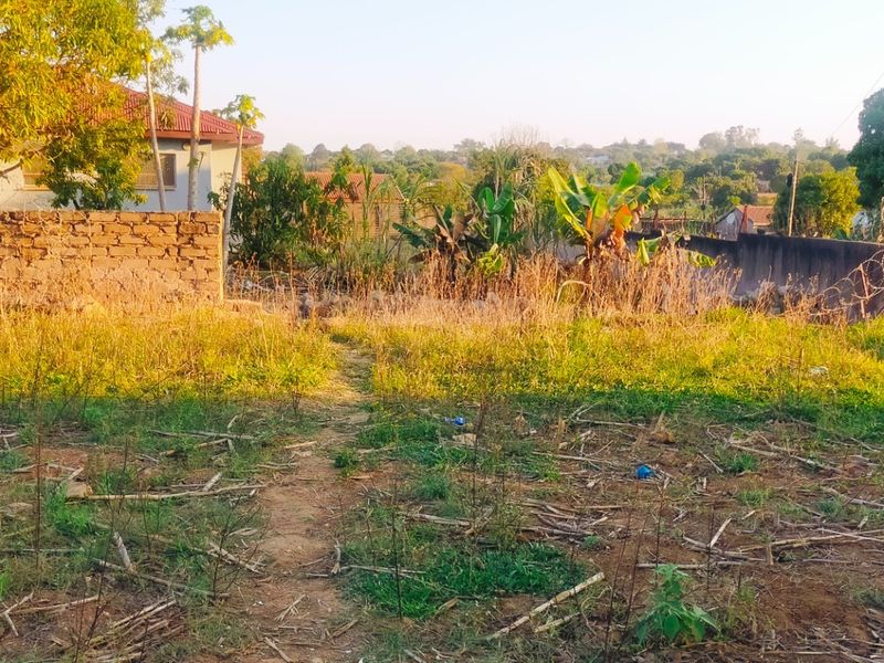 A view of a vacant residential plot featuring a stone boundary wall with security fencing and surrounding vegetation.