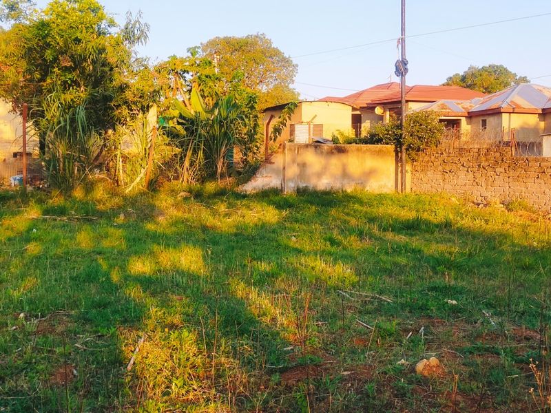 A view of a vacant residential plot featuring a boundary wall, mature vegetation, and a water storage tank on the property.