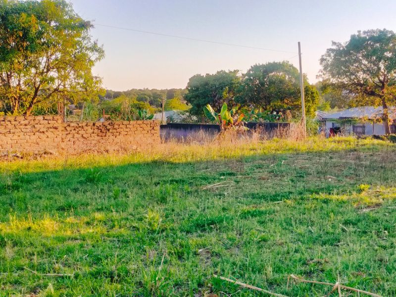 A vacant residential plot featuring a grassy landscape, enclosed by a brick boundary wall with security fencing and mature trees in the background.