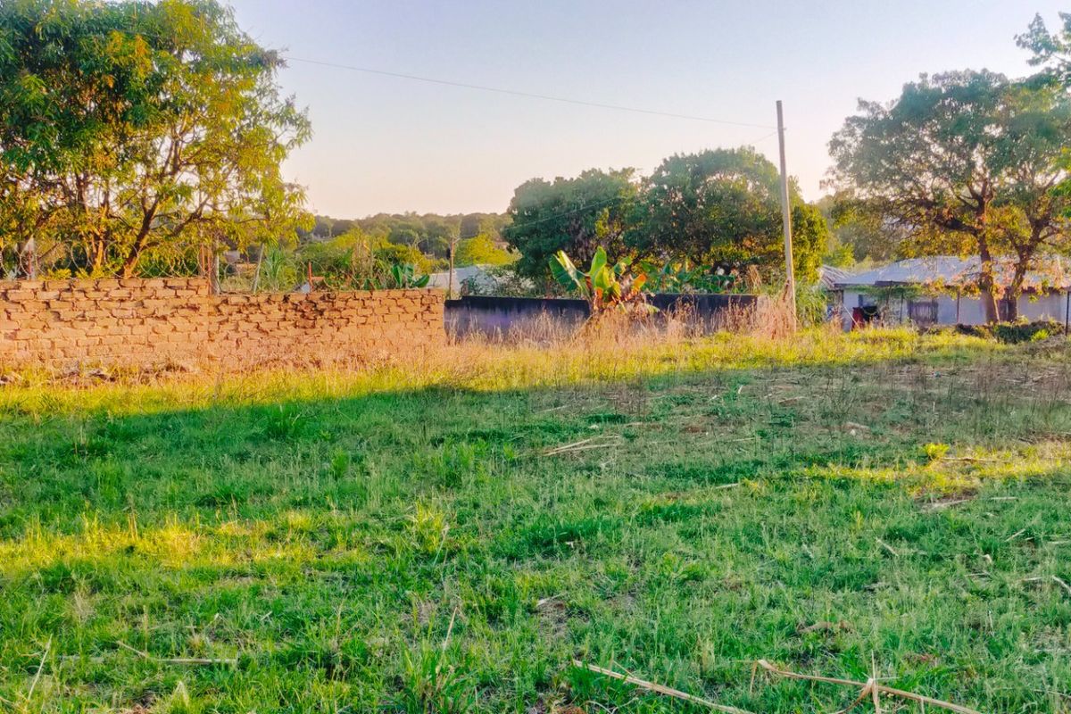A vacant residential plot featuring a grassy landscape, enclosed by a brick boundary wall with security fencing and mature trees in the background.