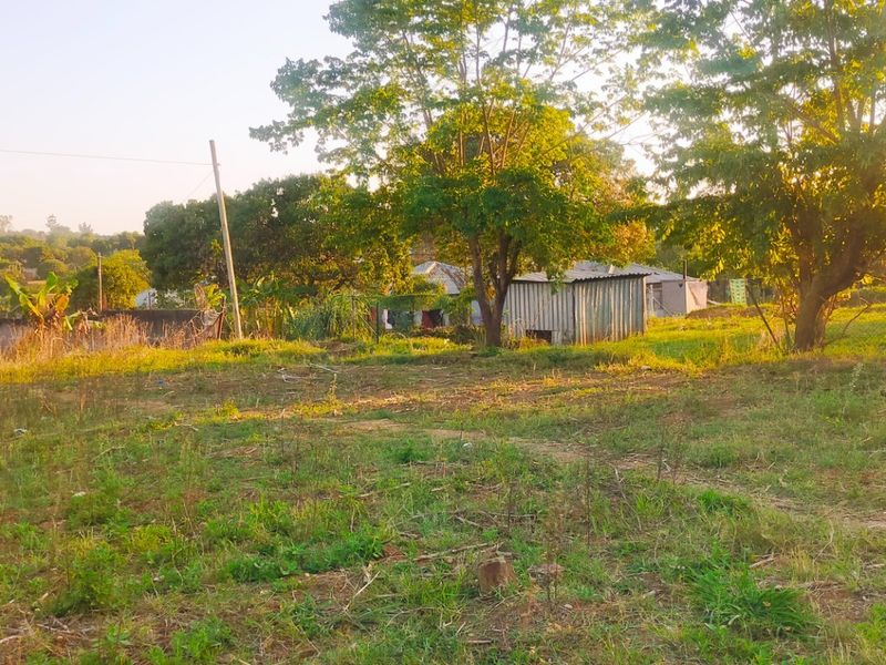 A vacant residential plot featuring mature trees, natural grass coverage, and a small corrugated metal structure on the property.