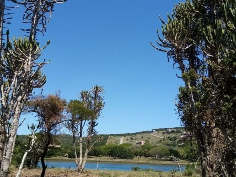 A scenic view of a natural water body surrounded by indigenous trees and rolling hills, showcasing the tranquil landscape of the vacant land.