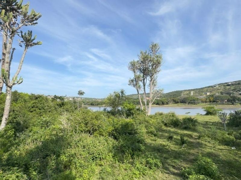 A scenic view of the natural landscape featuring indigenous vegetation and a water body, showcasing the tranquil surroundings of the vacant residential land.