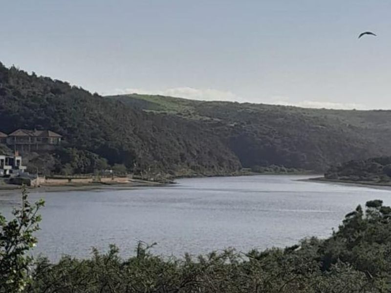 A scenic view overlooking a tranquil river estuary surrounded by rolling hills and natural vegetation.