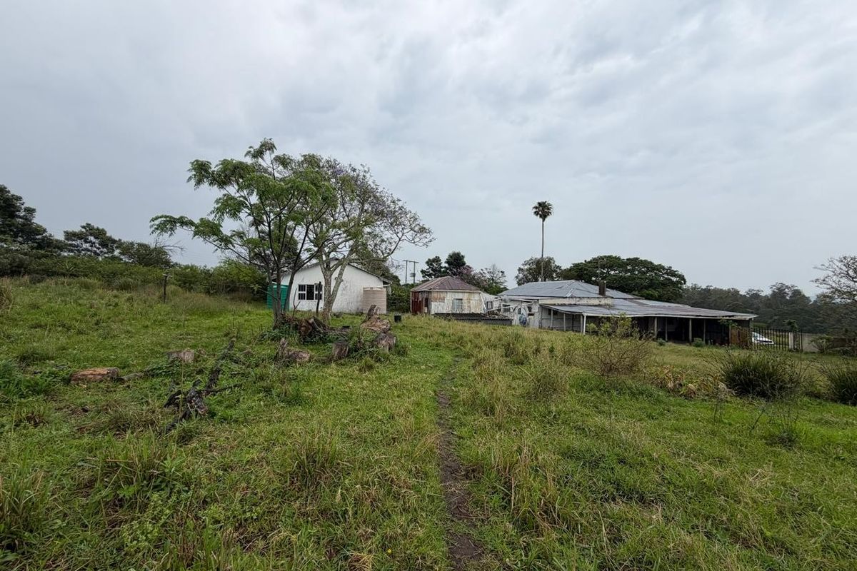 A view of the rear exterior of the small holding, featuring multiple outbuildings, a covered patio area, and expansive overgrown grounds.