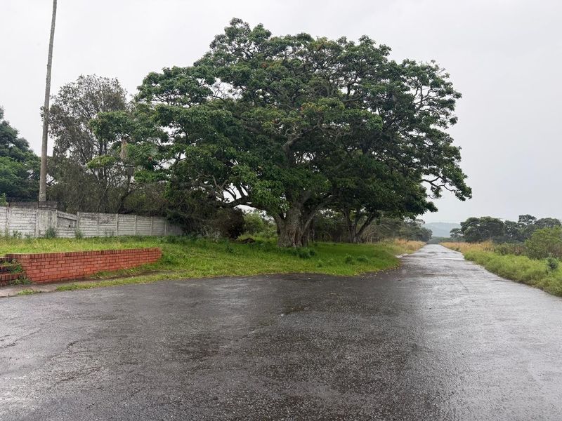 A view of the access road leading to the property, featuring mature trees, a precast concrete boundary wall, and a brick retaining wall.