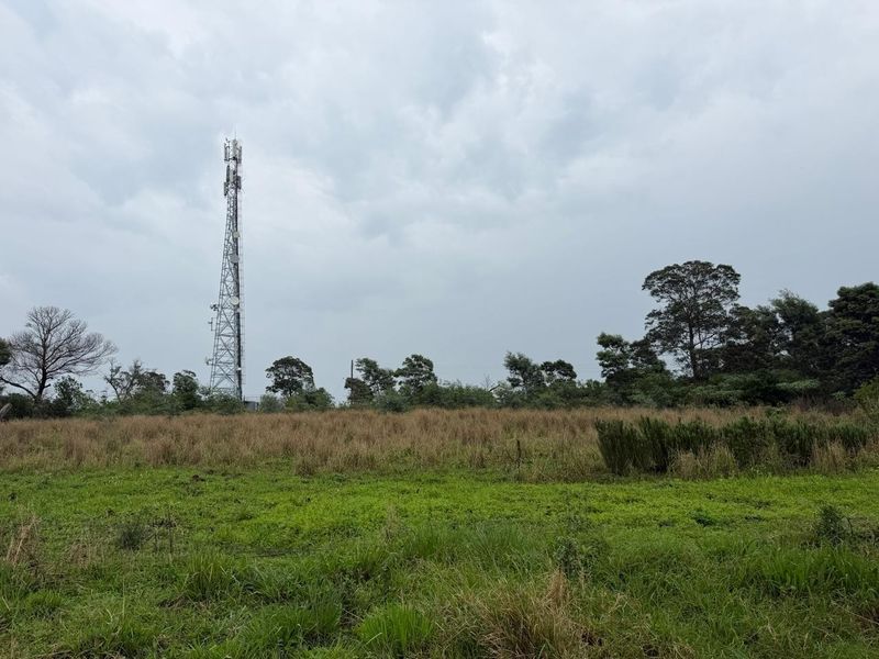 A view of the open land on the small holding, featuring a prominent telecommunications tower in the distance.