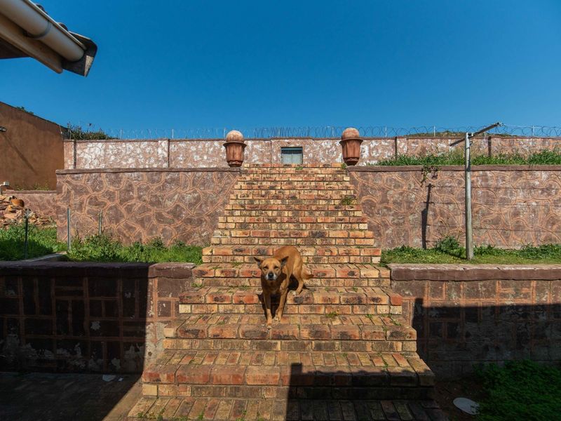 Rear exterior view featuring a brick staircase leading to a raised garden area with stone-clad retaining walls and security fencing.