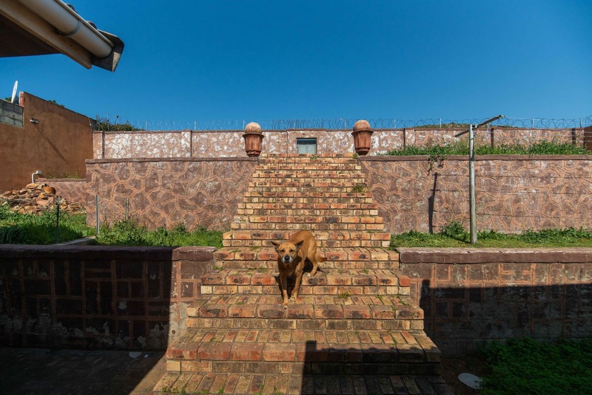 Rear exterior view featuring a brick staircase leading to a raised garden area with stone-clad retaining walls and security fencing.