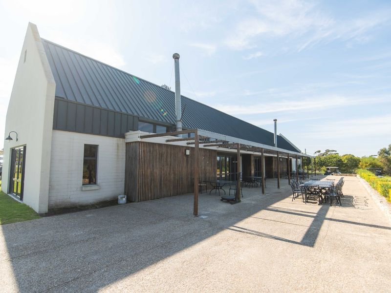 Rear view of the property featuring a spacious concrete patio, timber-clad facade, and a modern metal roof with external flue pipes.