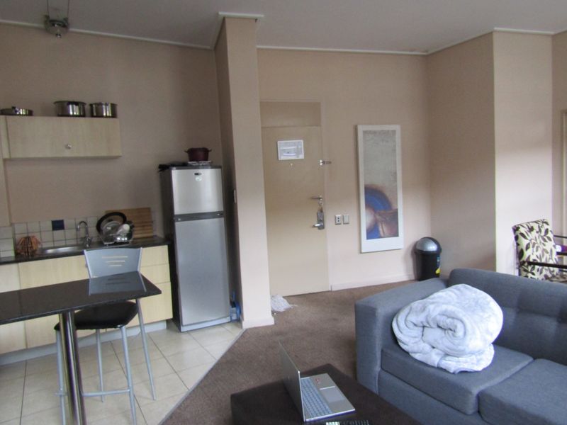 Open-plan living area featuring a compact kitchen with cabinetry and sink, transitioning into a carpeted lounge space.