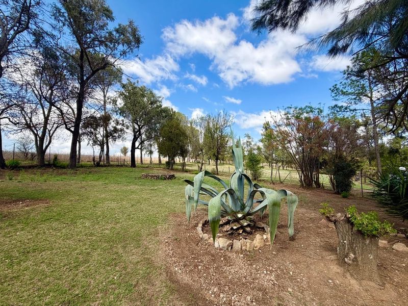 A spacious, established garden area featuring mature trees, open lawn space, and natural landscaping, enclosed by wire fencing.