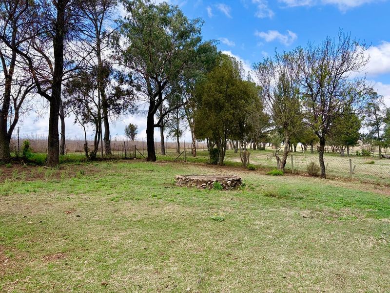 A spacious, open garden area featuring mature trees, wire mesh perimeter fencing, and a central stone-clad fire pit.