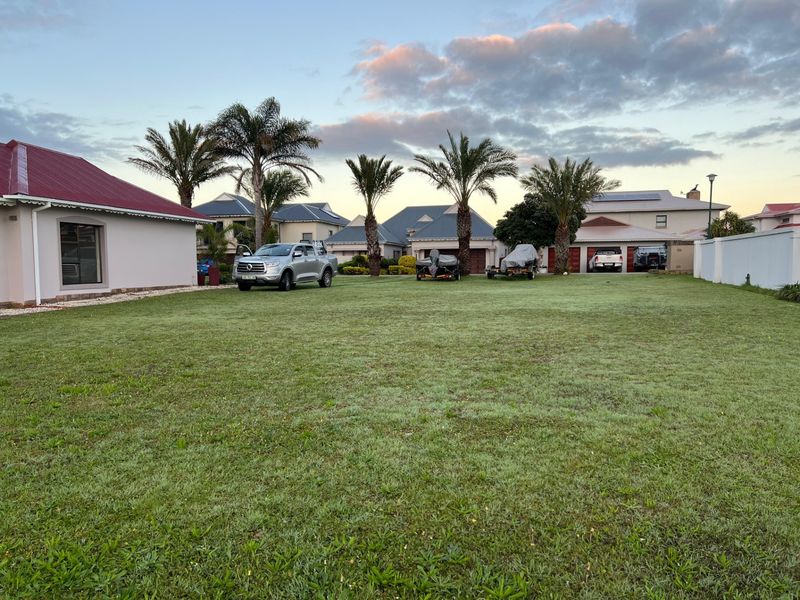 A spacious, well-maintained residential lawn area featuring mature palm trees and perimeter boundary walls.