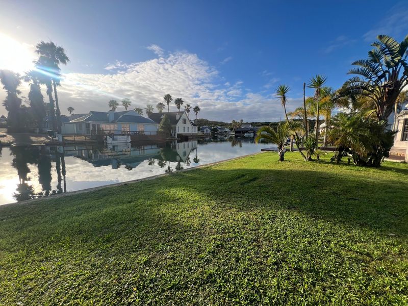 A scenic view of a tranquil canal waterfront featuring manicured lawns and mature palm trees, showcasing the peaceful residential estate setting.