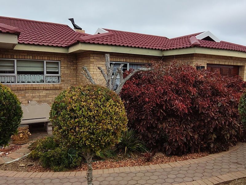 Front elevation of a face brick house featuring a tiled roof, paved driveway, and established garden landscaping.