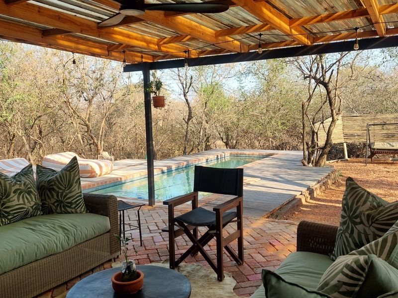 A covered outdoor patio featuring a timber pergola, brick paving, and direct access to a swimming pool with timber decking in a natural setting.