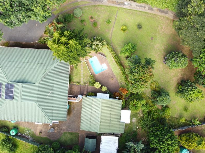 Aerial view of the property featuring a large garden, swimming pool, paved patio, and solar panels installed on the metal roof.