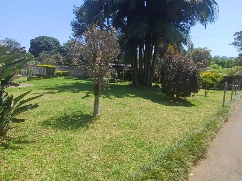 A well-maintained garden area featuring a lush green lawn, mature palm trees, and a paved pathway, providing a pleasant outdoor space.