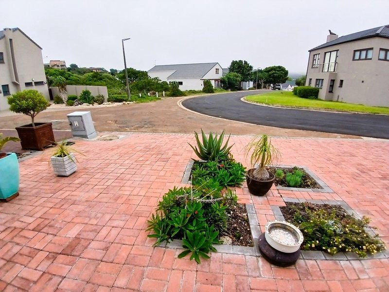 A view of the paved driveway and surrounding residential street, featuring built-in garden beds and established landscaping in a quiet neighborhood setting.