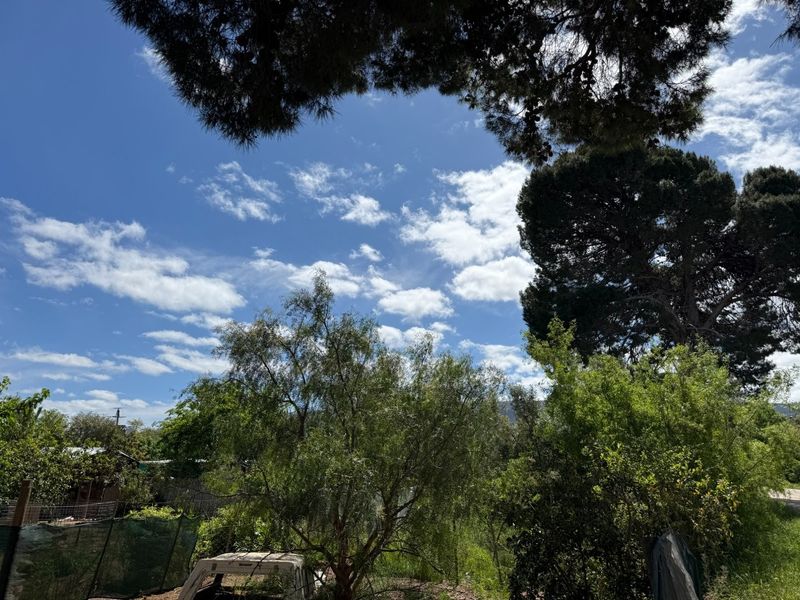 A view of a garden area featuring mature trees and existing perimeter fencing on the residential land.