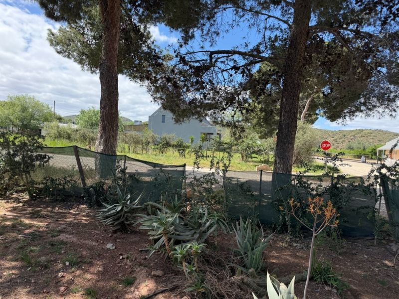 A view of a residential plot featuring mature trees, native landscaping, and perimeter mesh fencing.