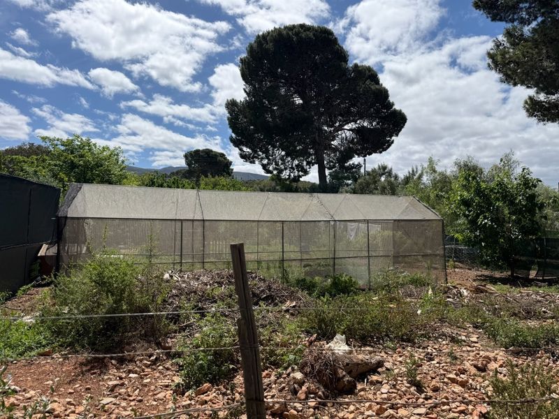A view of a garden area featuring a large mesh greenhouse structure and wire perimeter fencing on a residential plot.