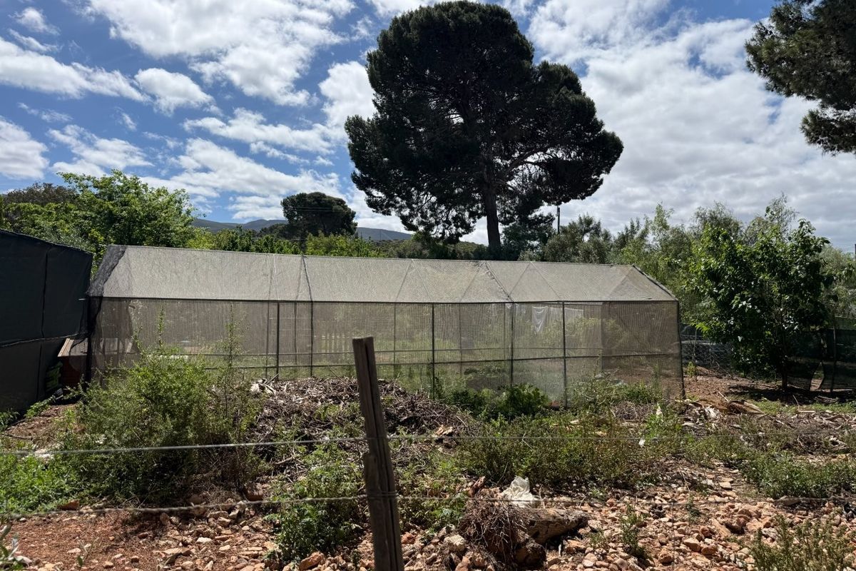 A view of a garden area featuring a large mesh greenhouse structure and wire perimeter fencing on a residential plot.