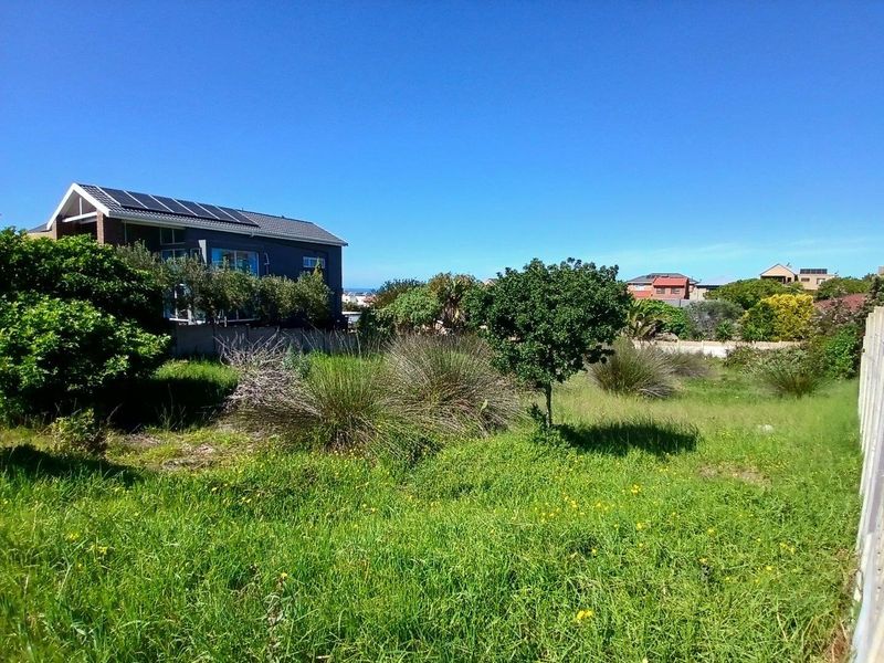A view of the vacant residential land featuring established vegetation and boundary fencing, situated in a developed neighborhood.