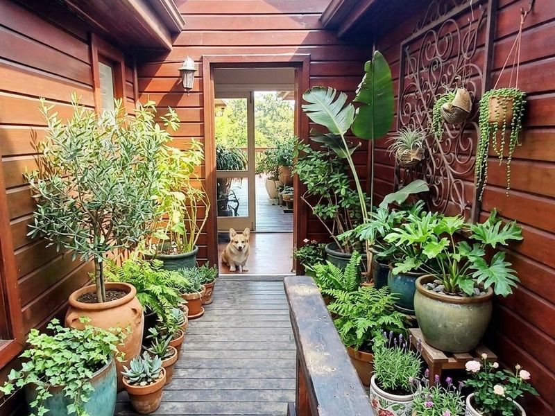 A charming timber-clad outdoor walkway or patio area featuring natural wood decking and warm wall-mounted lighting, creating a welcoming transition space.