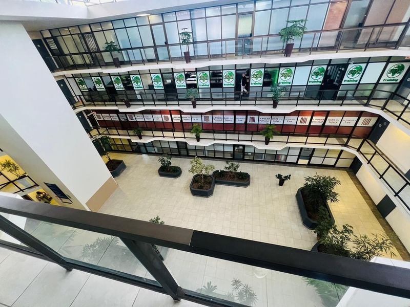 A high-angle view of a multi-level office building atrium featuring a central open courtyard with built-in planters and glass-fronted office suites.