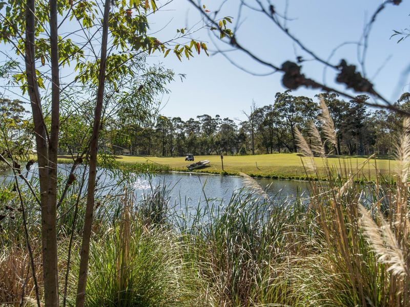 A scenic view overlooking a tranquil pond with a golf course fairway in the background.