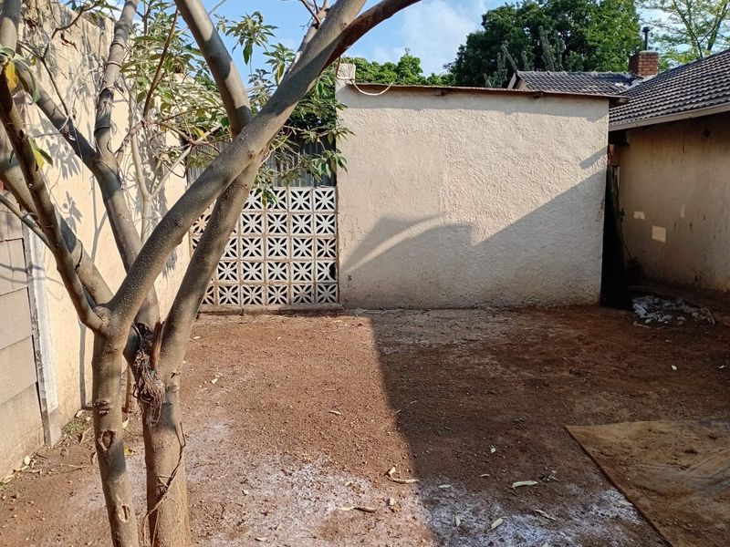 A rear outdoor area featuring a plastered boundary wall and a decorative breeze block screen, currently requiring landscaping and surface maintenance.