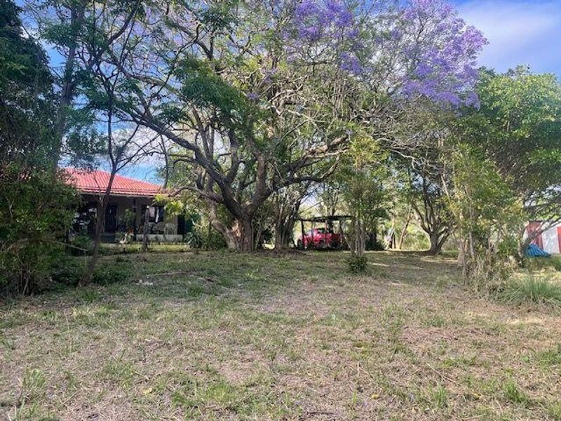 A spacious, tree-filled garden area on a farm property, featuring mature trees and a view of the main dwelling's tiled roof.