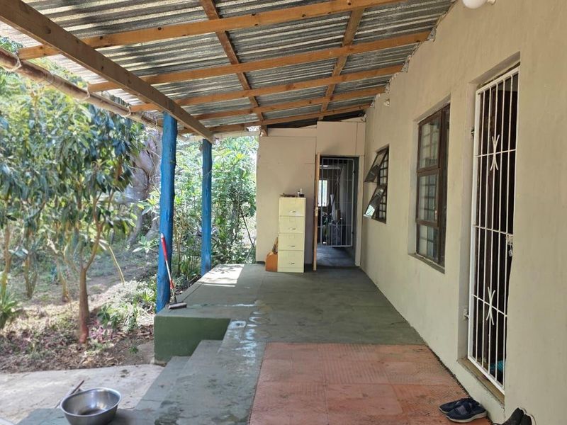 A covered outdoor patio area featuring a corrugated iron roof, timber support beams, and direct access to the garden.