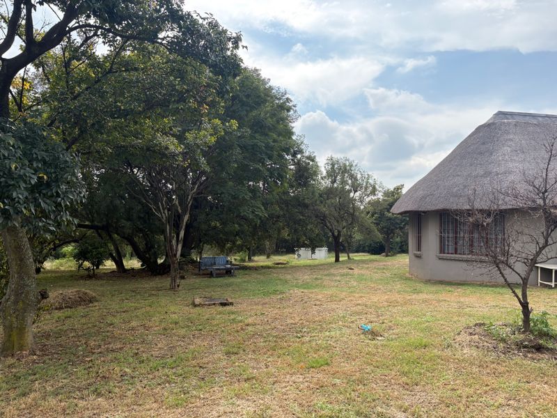 A spacious garden area featuring mature trees and a building with a traditional thatch roof.