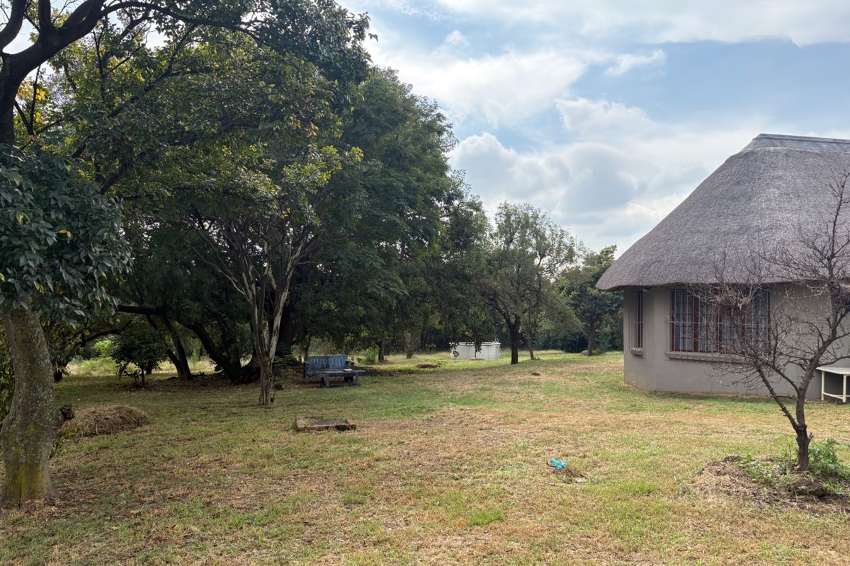 A spacious garden area featuring mature trees and a building with a traditional thatch roof.