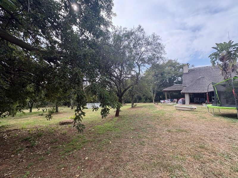 A spacious rear garden area featuring mature trees, a lawn, and a view of the main dwelling with a traditional thatch roof and covered patio.